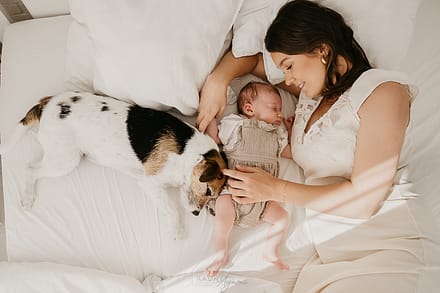 Jack russell terrier Blog Kadry Agami Sesja Noworodkowa w Domu z rodzicami