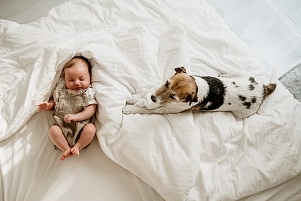 sesja noworodkowa z psem Kraków