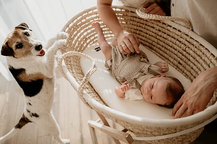 sesja noworodkowa lifestyle kraków